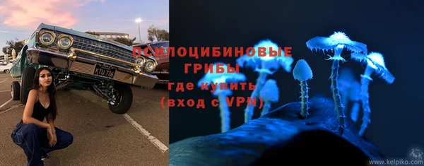 ГАЛЛЮЦИНОГЕННЫЕ ГРИБЫ Алексин