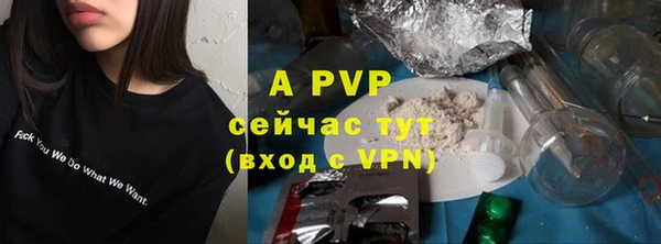 гидра Покровск