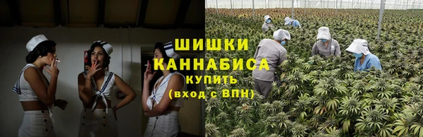 крисы Абдулино