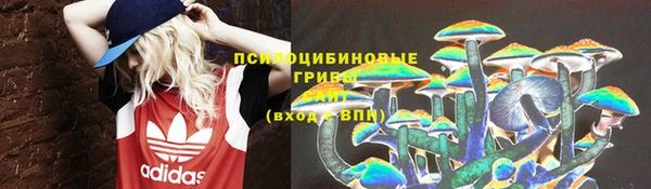 крисы Абдулино